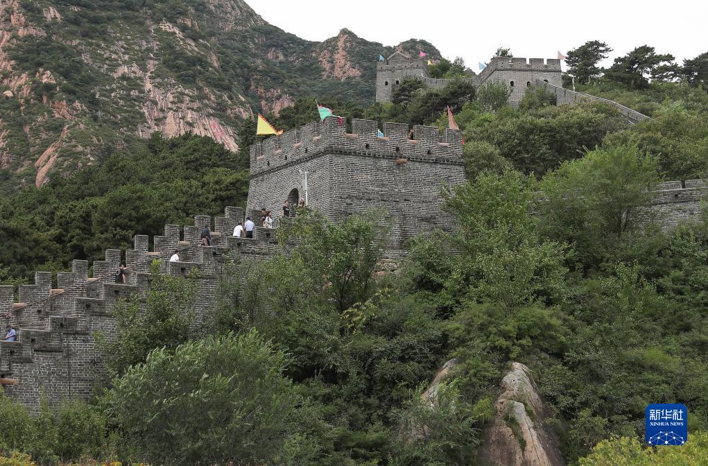 广东麻将推倒胡在线